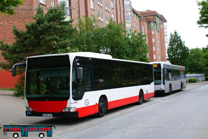 12) 8286-12,SBG,KK.JPG